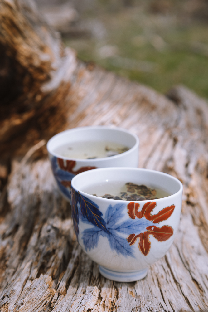traditions of tea, camellia sinensis